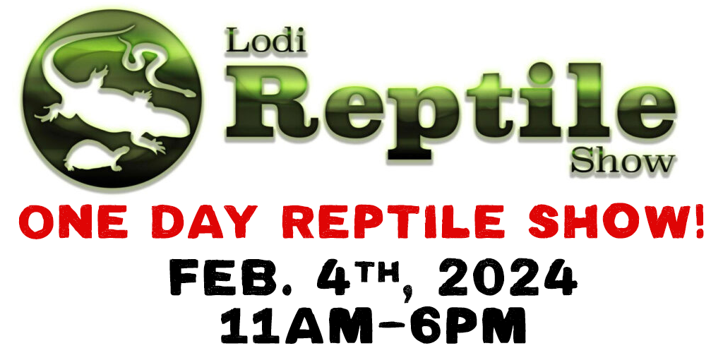 Lodi Reptile Show Lodi Ca